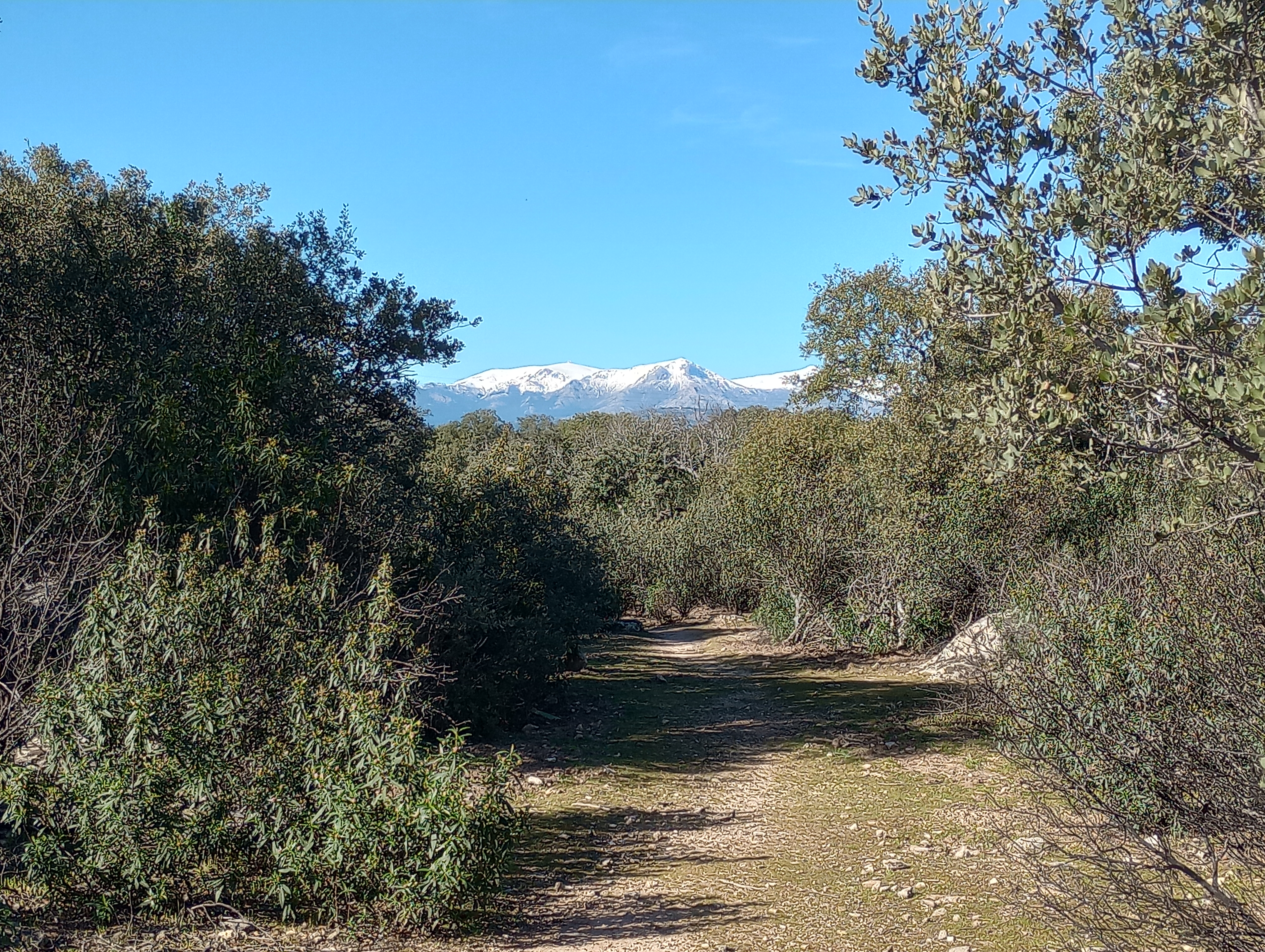 Guadarrama Mountains region